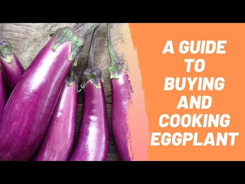 A Guide To Buying And Cooking Eggplant