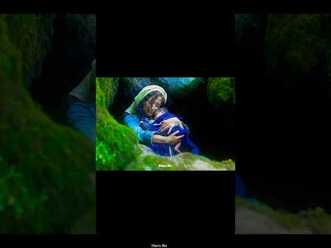 از خون جوانان وطن لاله دمیده ادیت زن تاسیان سریال تاسیان خاتون