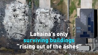 Lahaina’s surviving buildings “rising out of the ashes”