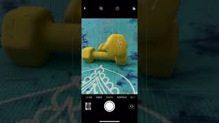 Greater/Shallow DOF cell phone trick when No Portrait Mode available screenshot 3