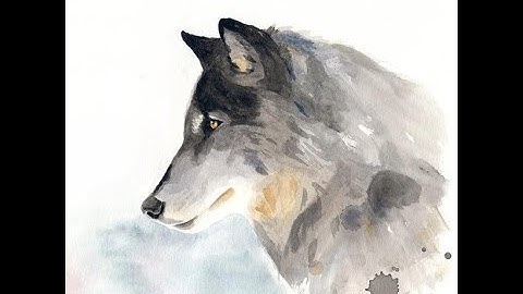 Problems and Solutions  Chapter 4  Noisy Neighbor