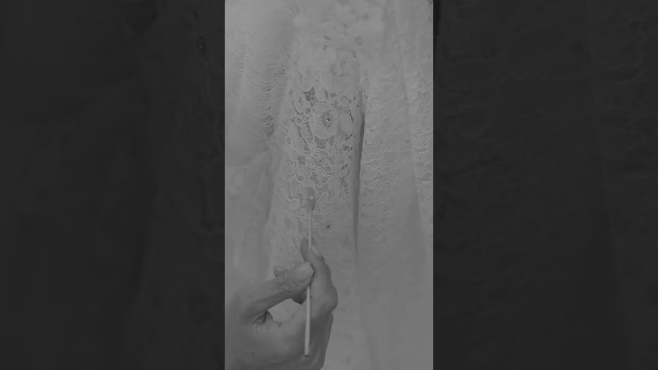 The making of a BERTA couture dress.