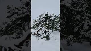 Başkarcı Dağlar Denizli Israfil Deresi