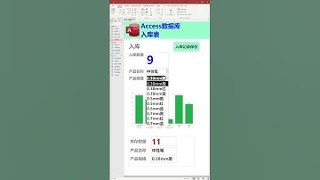 Access数据库进销存管理-入库表功能演示