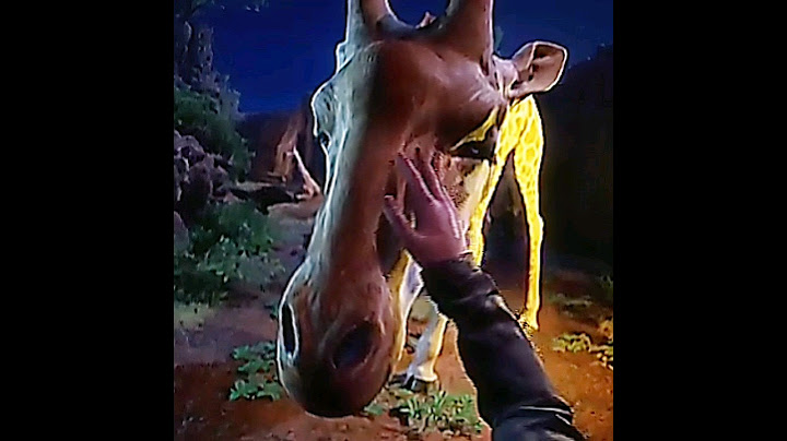 Zoochosis Edit | #horror #edit #zoochosis #shorts #mutant #monster #animal #giraffe #moose #kangaroo