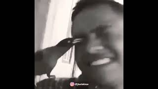 Download Lagu VIDIO LUCU 20 DETIK MP3