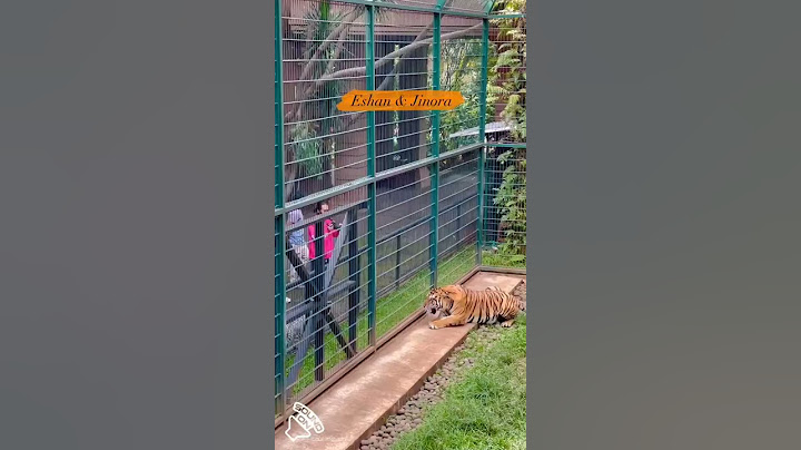 Baby SELEN Sering Di Lindungi JINORA Kalau ESHAN lagi marah .JINORA langsung marahin balik ESHAN