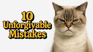 10 Things Cats Hate That You’re Probably Doing