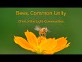 Bees common unity