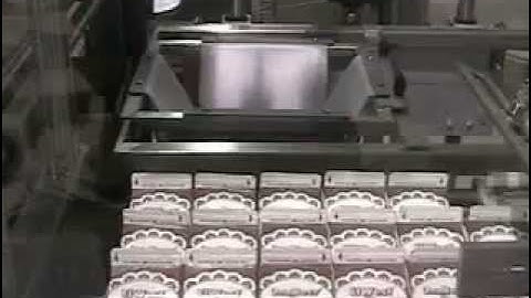 Wepackit Machinery 700CP Gable Top Case Packer