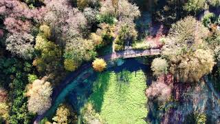 Otterhead Lakes, Blackdown Hills, Somerset. 4k Drone Footage