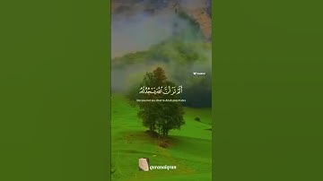 سورة الحج القارئ #ياسر_الدوسري ‎@islam_sobhi @Sonic_islami#فلسطين#السعودية#المغرب#مصر#الجزائر#تونس