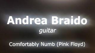 Video thumbnail of "Andrea Braido - Comfortably Numb (Pink Floyd)"