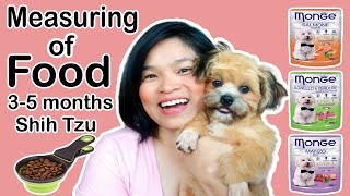 PAANO PAKAININ ANG SHIH TZU ? | BIRCH TREE MILK PWEDE BA SA SHIH TZU ? | BUDGET FOOD | KENNEL CAUGH