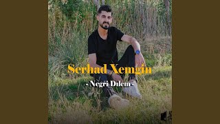 Negri Dilem