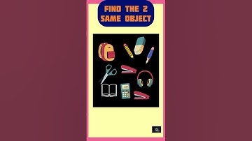 Find the 2 same object #shorts