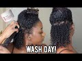 Wash Day Routine Natural Hair | Briogeo Dont Despair Repair | Kris Elisa