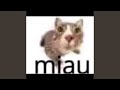 Miau