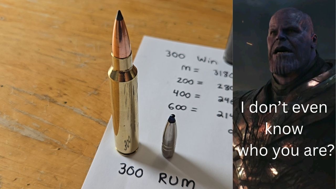 The Ultimate Forgotten Cartridge