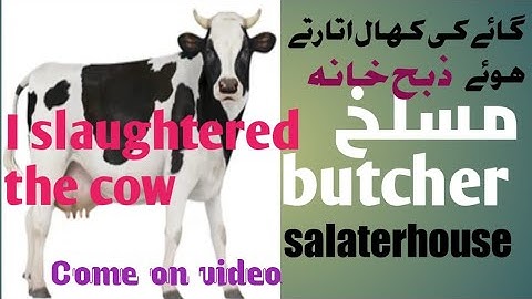 How To Butcher An Entire Cow: Every Cut Of Meat Explained | Bon Appetit I slaughteredکھال اتارتے ن