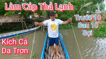 Hướng dẫn thả cáp đi cáp cá da trơn xiệt lạnh chuyên đi thuyền