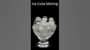 Ice Cube Melting #timelapse