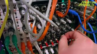 NANO Modules CEQ - Eurorack Module on ModularGrid