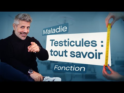 Vidéo: Quel testicule pend généralement plus bas ?