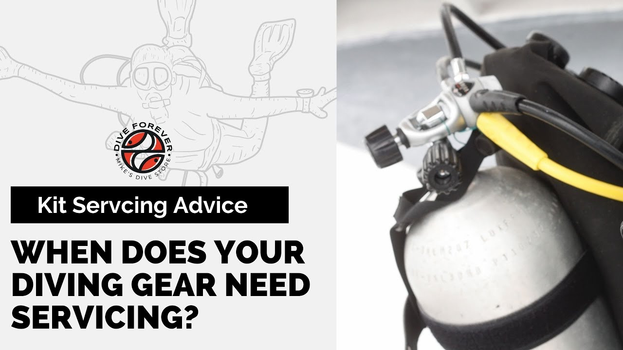 When Does Your Diving Gear Need Servicing? YouTube