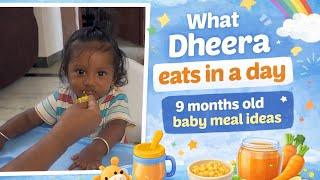 What Dheera Eats In A Day 9 Months Old With Recipes Indumathi