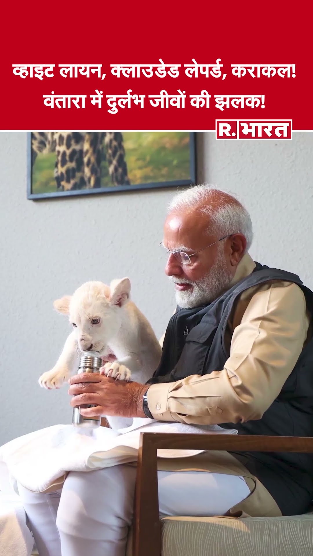 PM मोदी पहुंचे 'वंतारा'! 1.5 लाख से ज़्यादा बचाए गए वन्यजीवों का संगम!