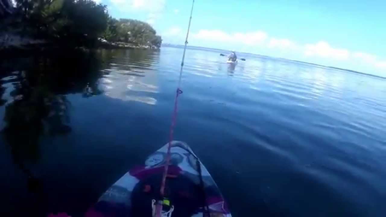 Ft Desoto Florida Kayaking Adventures YouTube