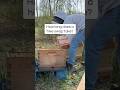 How long does a hive swap take? Less time than rebuilding boxes. #apimaye #beehive #beekeeping