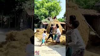 Creative hay lifting tool #tools #shorts #viral