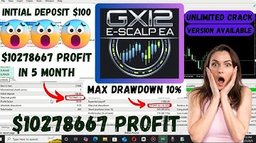 GX12 E Scalp EA | Category : MT4 EA (Build +1431) | No DLL Get Now Just In $20 Best Forex EA