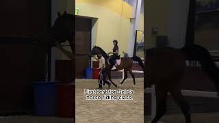 Al Forsan Horses