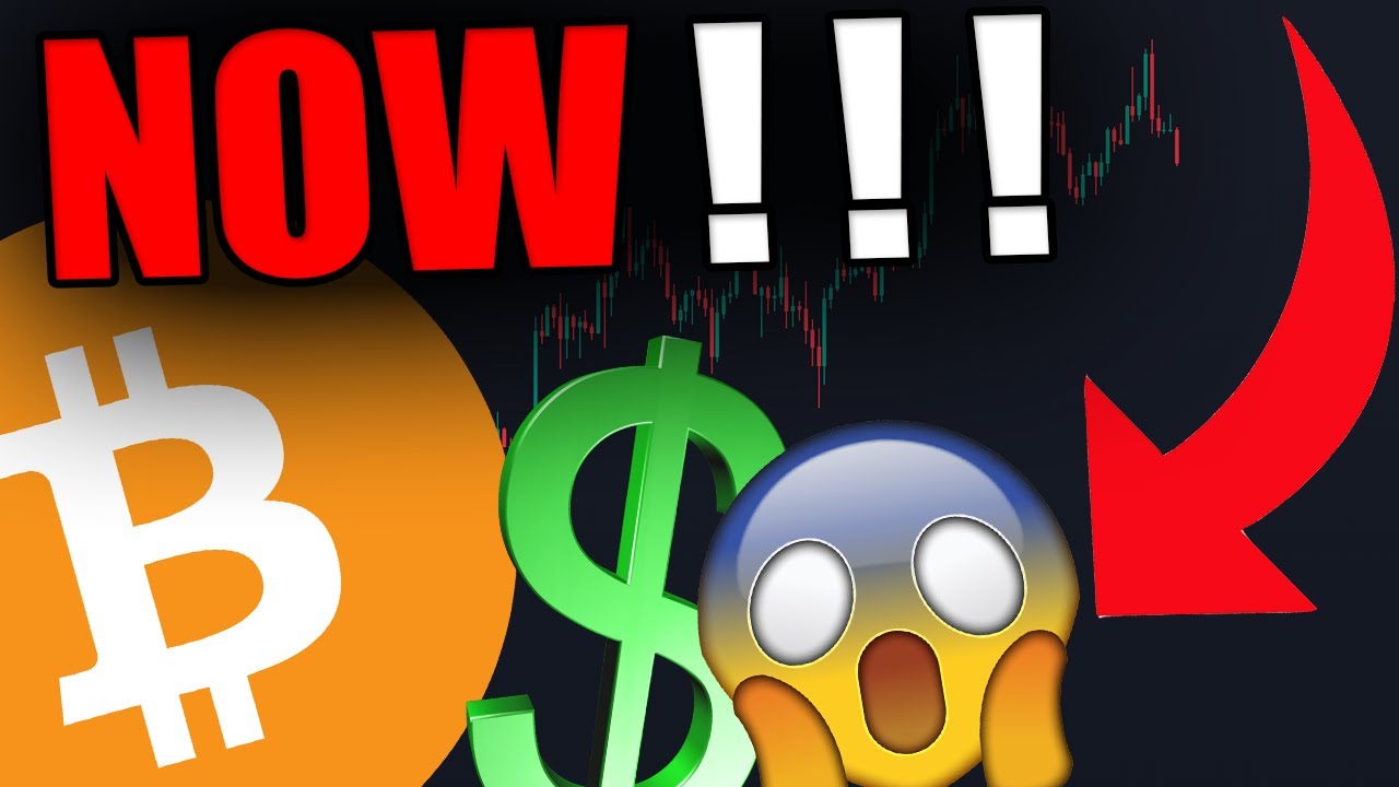 ЭТИ КИТЫ СБРОСАЮТ БИТКОИНЫ [У меня есть дополнительная информация....]