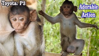 Adorable Baby monkey, Monkey Toyota warmly and get breastfeeding from mom