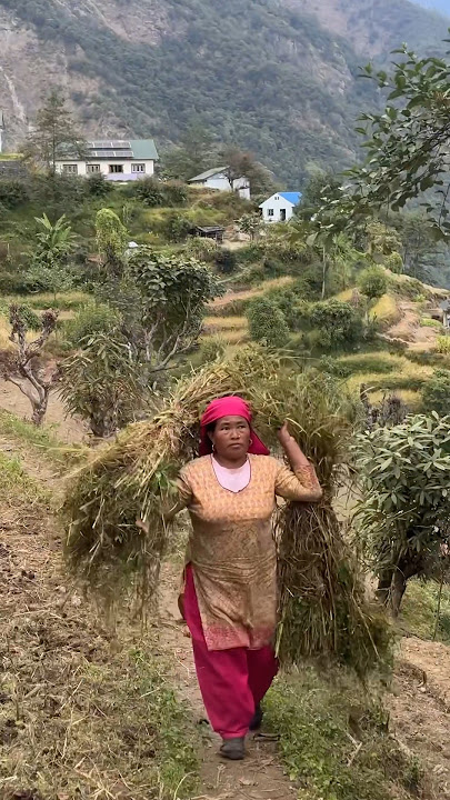 Yo samjhine man cha 🥰😘