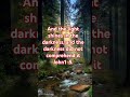 God's word is light #lightofchrist #wordofgod #bibleverse #encounterwithGodsword