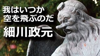 『半将軍』細川政元