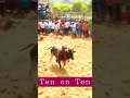 Jallikattu kalai thullikittu varuthu da mudinja pdchuparu da