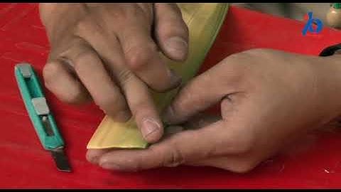 Nghệ thuật xếp lá dừa - Tạo hình con chuồn chuồn