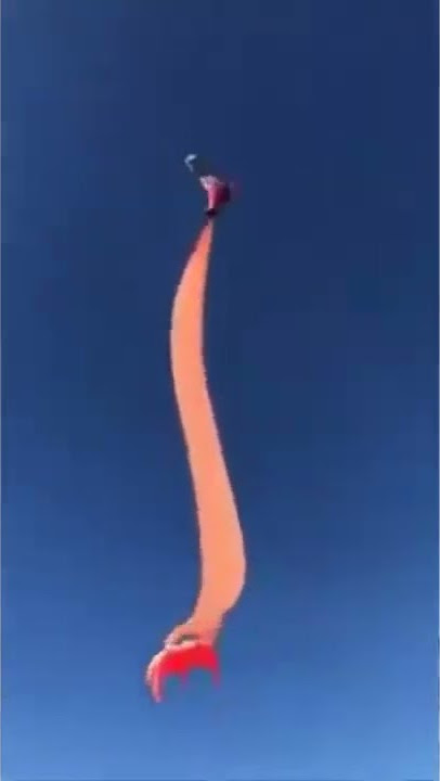 Girl in Taiwan caught by a kite in a windy day (TikTok ID: @kalesalad)