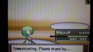 Platinum WiFi battle #8: CholoBandicoot vs Random Serebii guy *NINJASK IS GAY*
