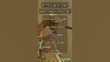 سورة آل عمران الآية ١٦٣