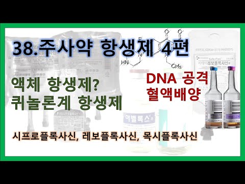 38. 주사약 항생제 4편 - 퀴놀론계 항생제 시프로플록사신, 레보플록사신, 목시플록사신. 혈액배양(blood culture)