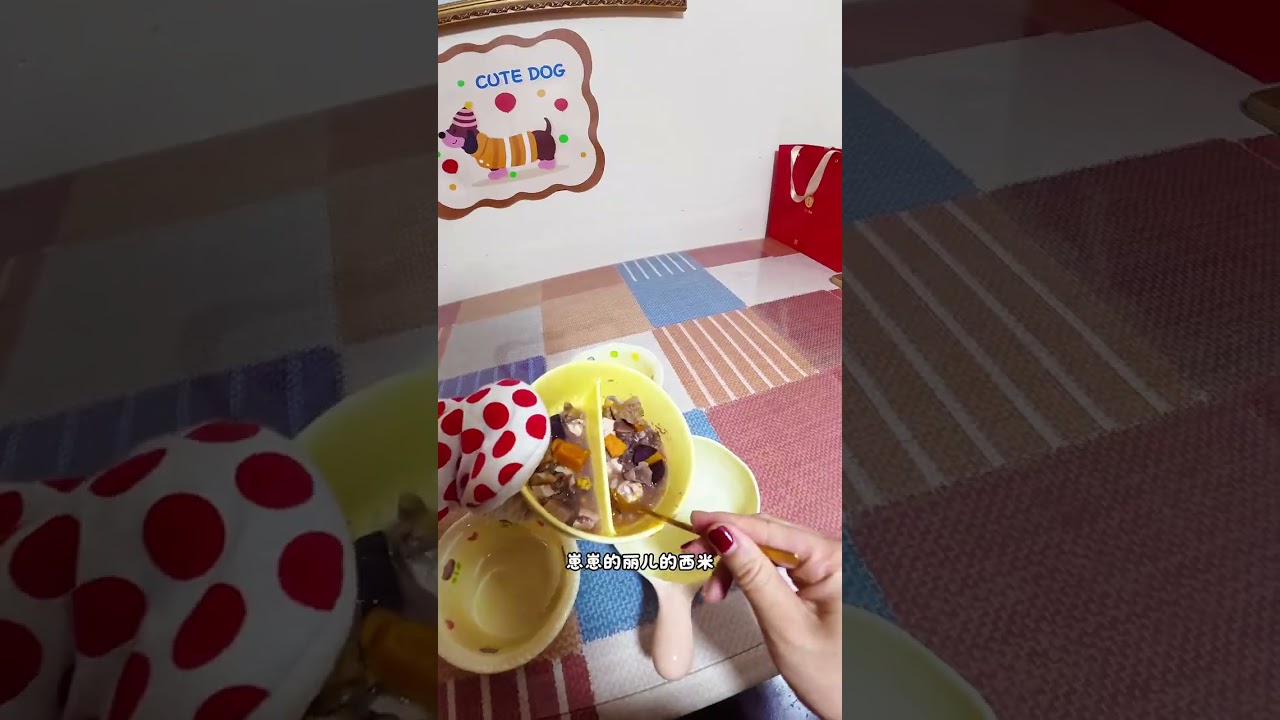 A first-person perspective on what the keepers of two dogs and a cat did in the two ho