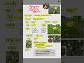 🔥 Dravya Mahotsav Day 20 | 🌿 Gokshura – Best for Kidney, Urinary & Strength 💧💪 | DM AYU ACADEMY 📚