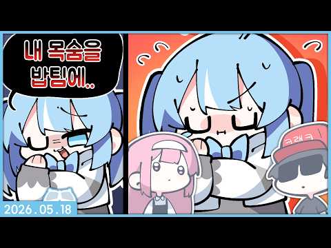 [2026.05.18] 츄밥 대전 : 대회 1일차 - 티어 결정전